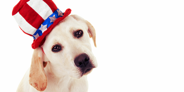 independence-day-pets